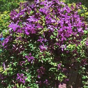 Meet your Posher, Joann